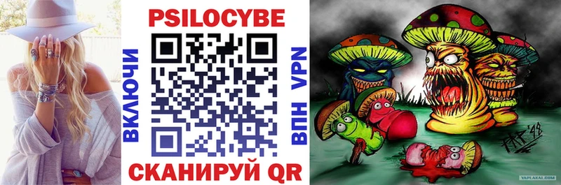Галлюциногенные грибы Psilocybine cubensis  Купить где  Белый 
